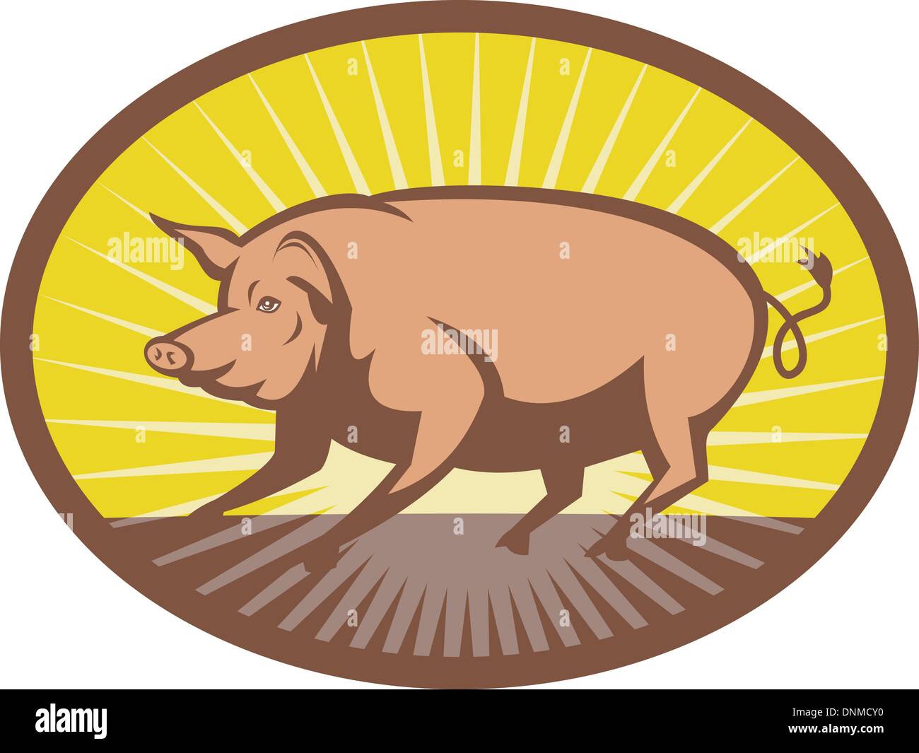 illustration of a Pig side view with sunburst in background set inside an ellipse Stock Vector