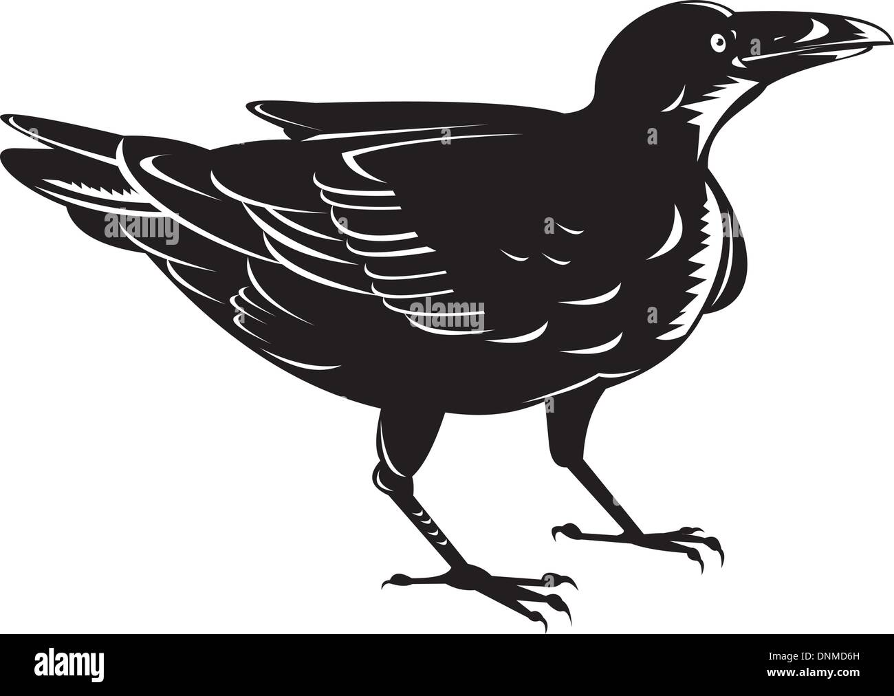 Illustration of a black raven done in retro woodcut style. Stock Vector