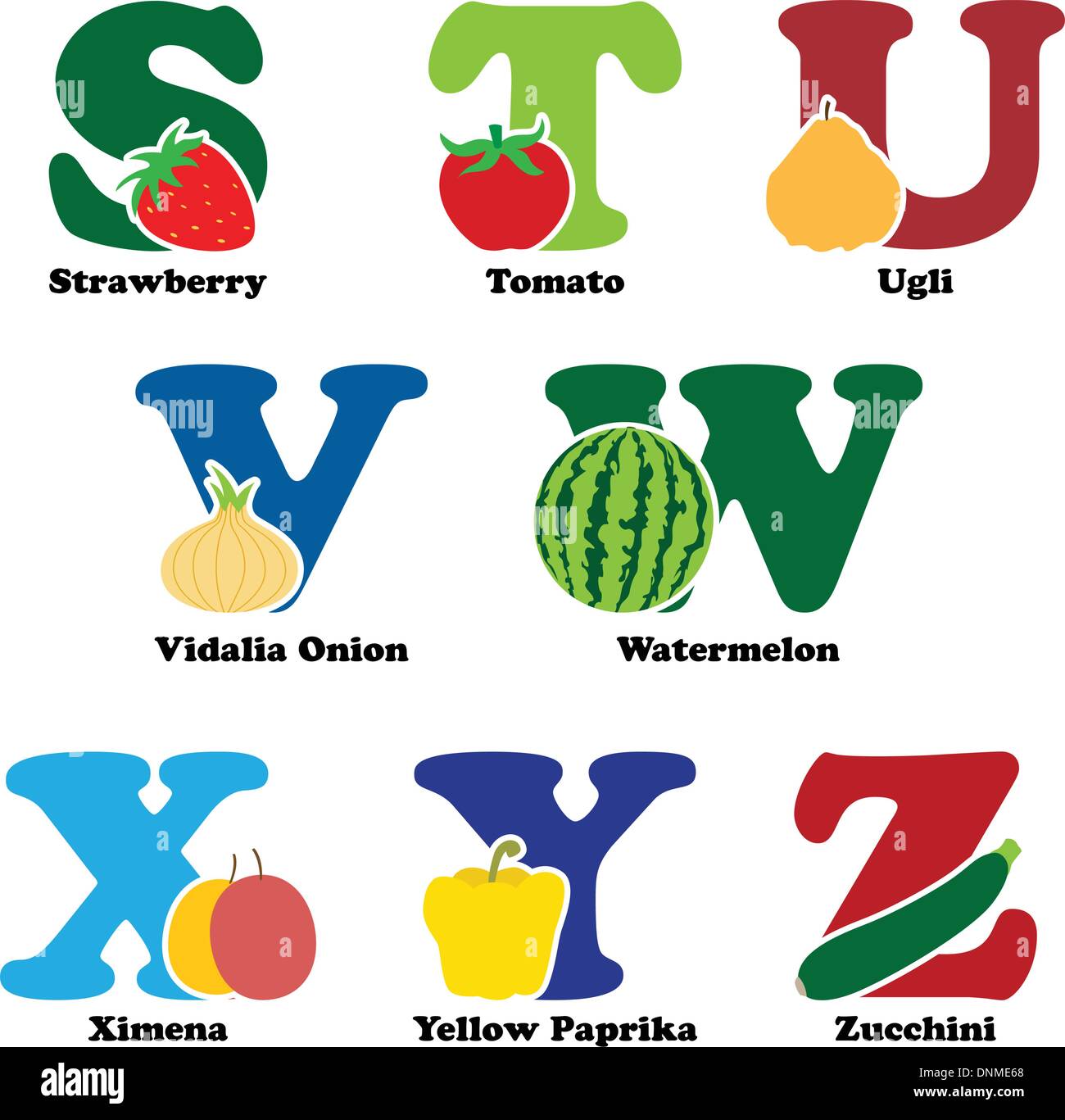 A vector illustration of fruit and vegetables in alphabetical order from S to Z Stock Vector