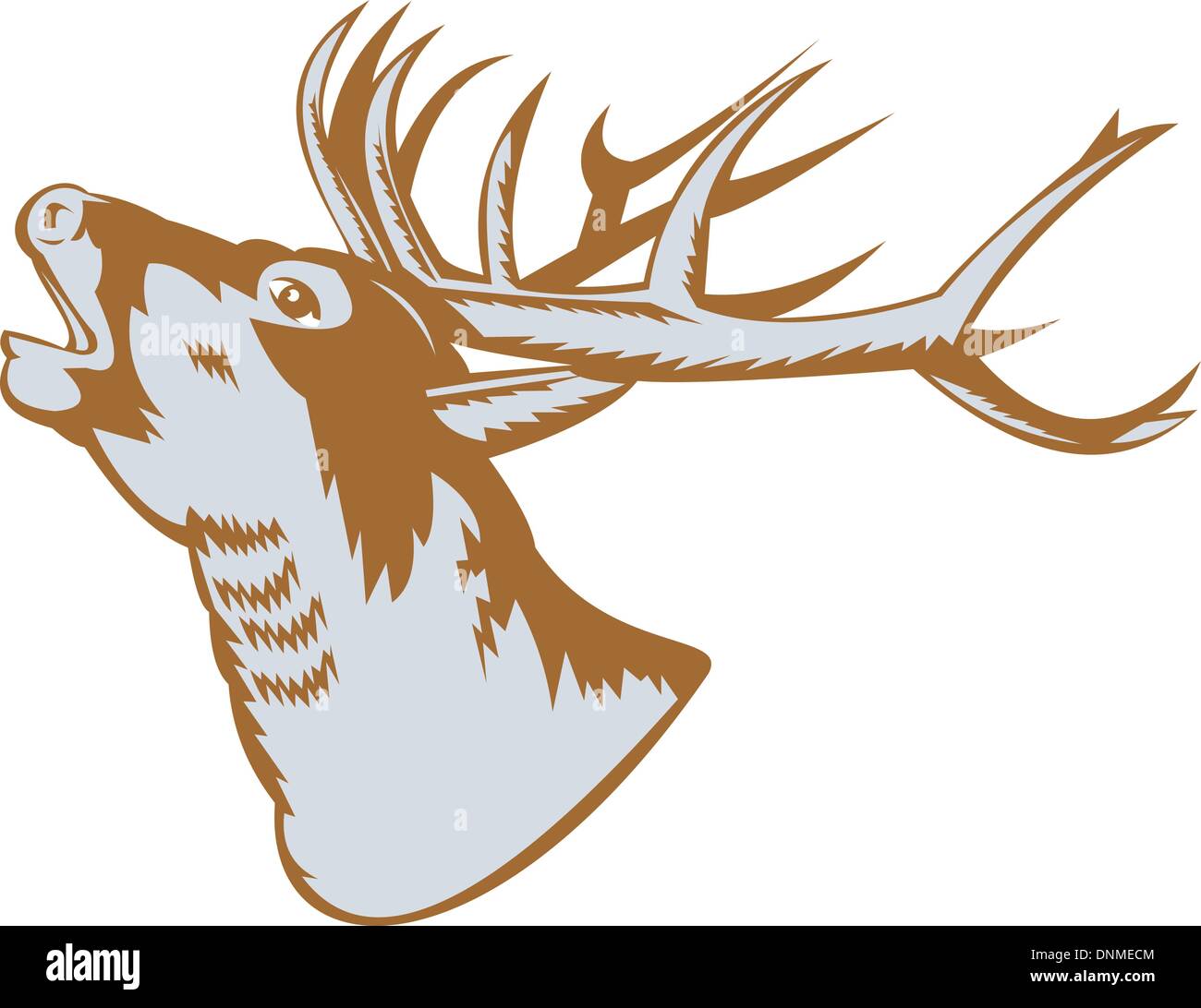 Illustration of a stag deer buck roaring on white background. Stock Vector