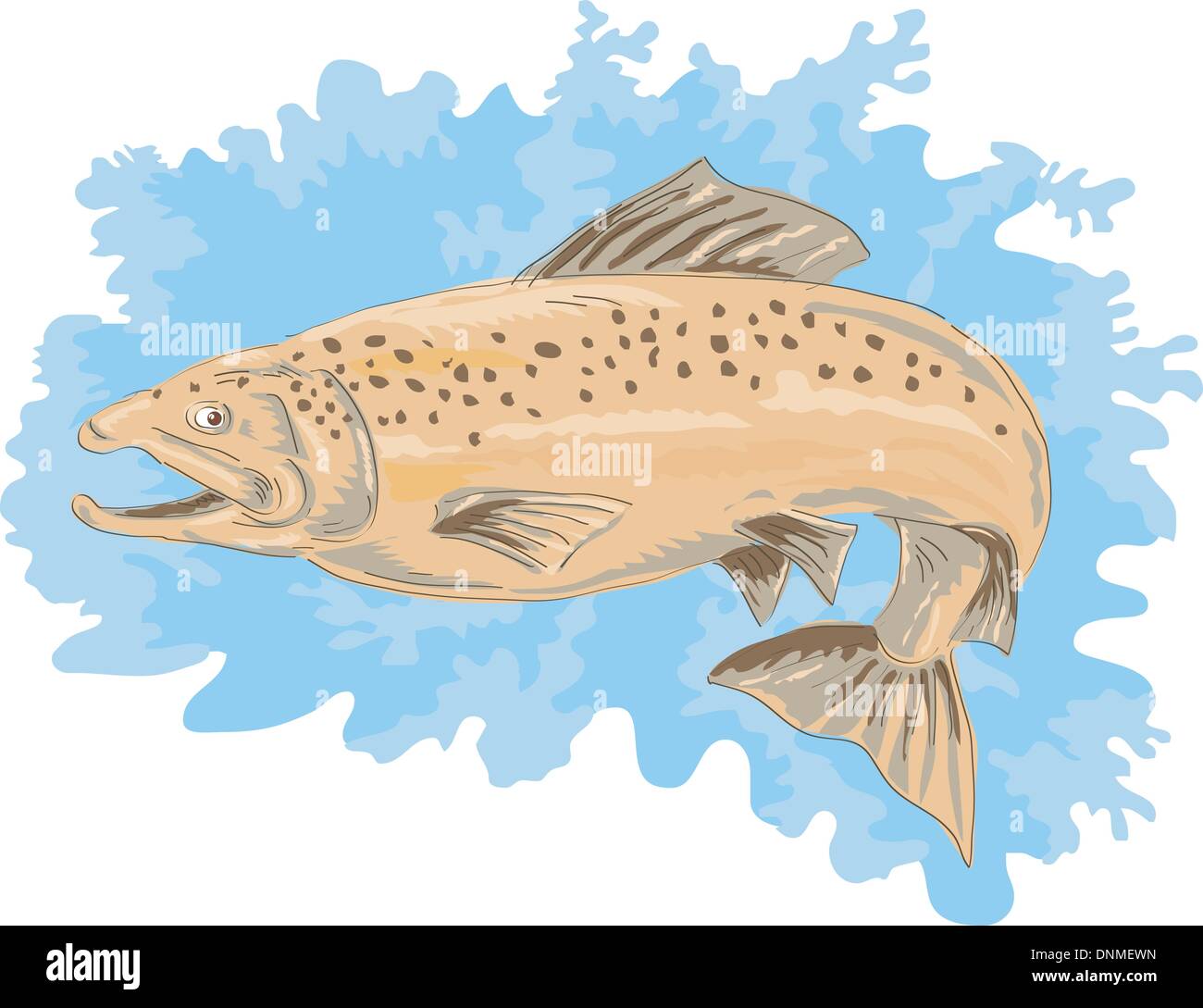 Jumping Trout Fish Vintage Template Stock Illustration - Download