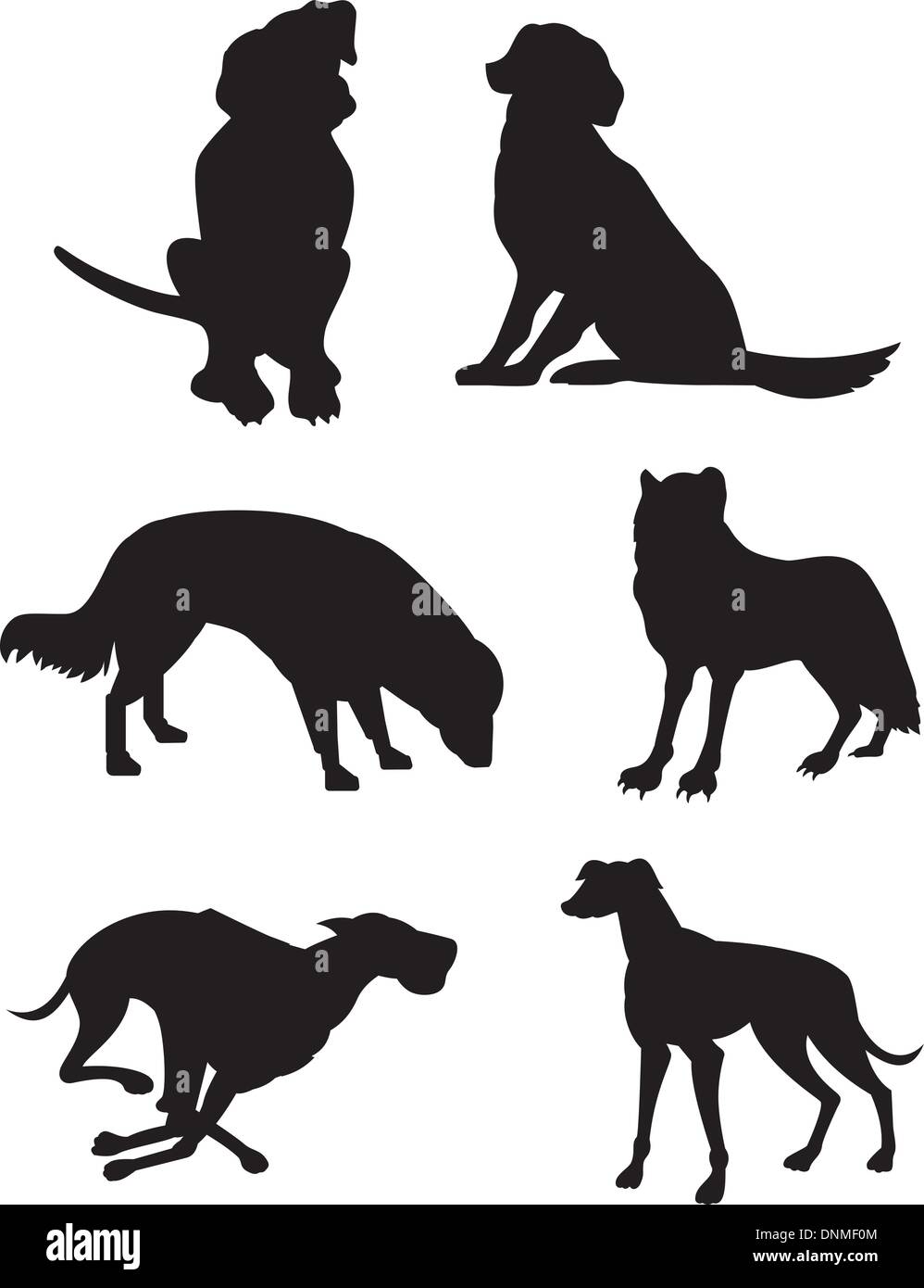 Illustration of different kinds of canines silhouettes isolated on a white background. Stock Vector