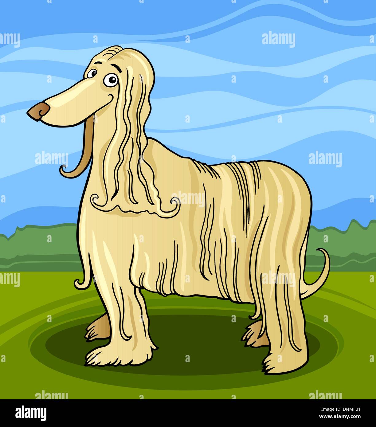 long haired hound dog