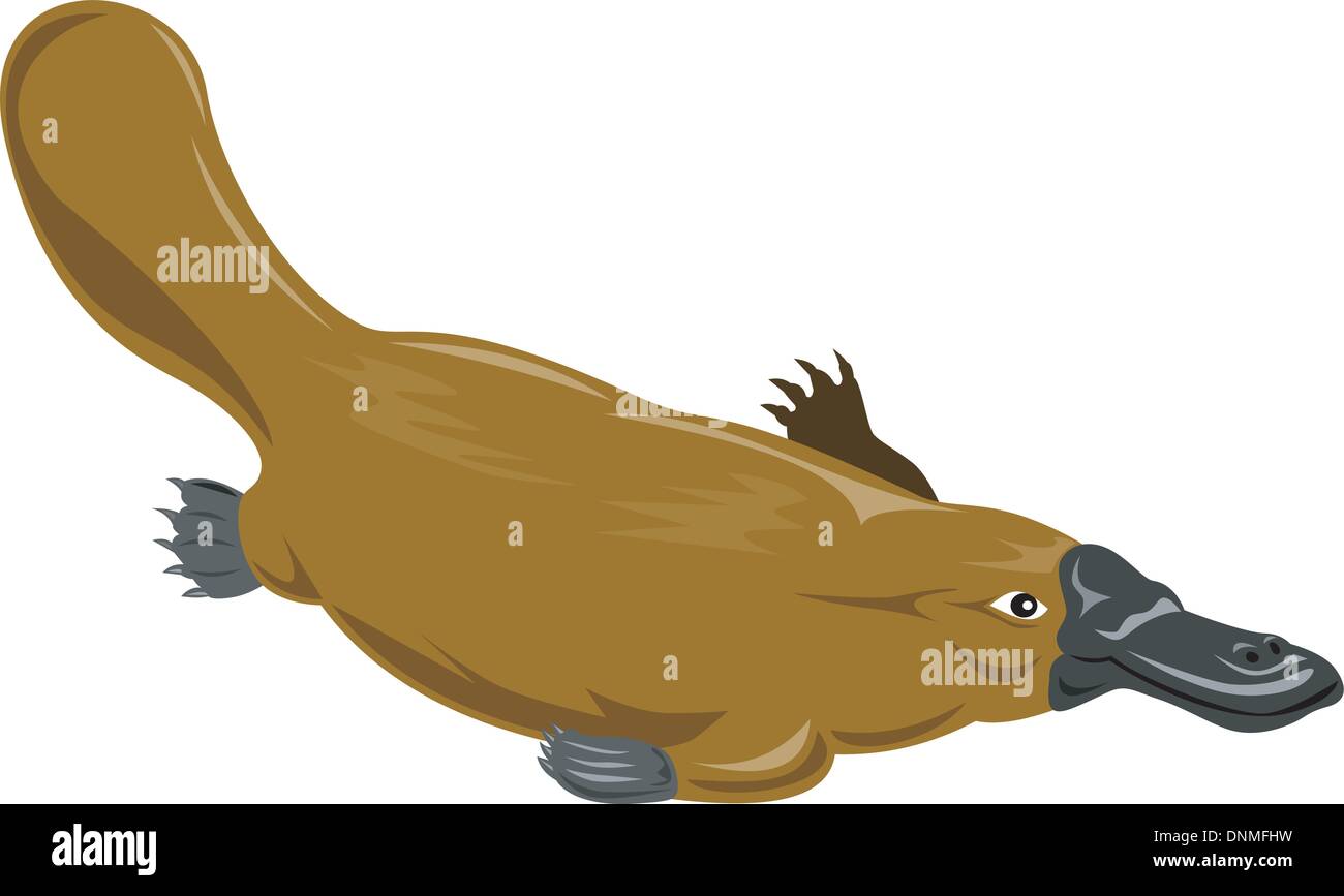 Illustration of platypus diving side view done in retro style. Stock Vector