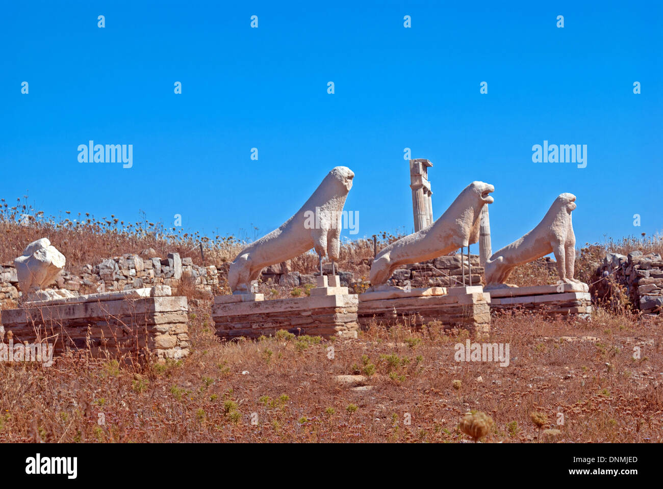 The Terrace of the Lions in the island of Delos Stock Photo - Alamy