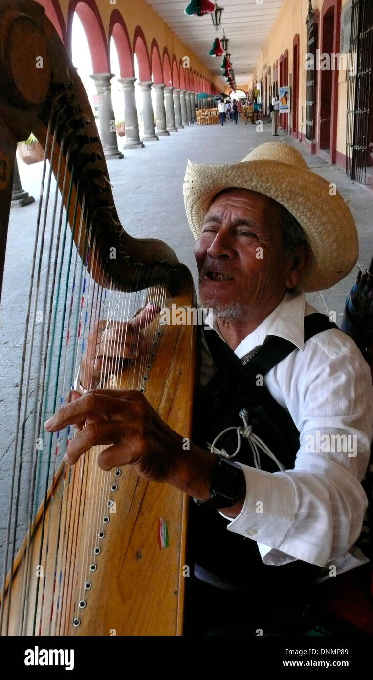 mexican folk harp