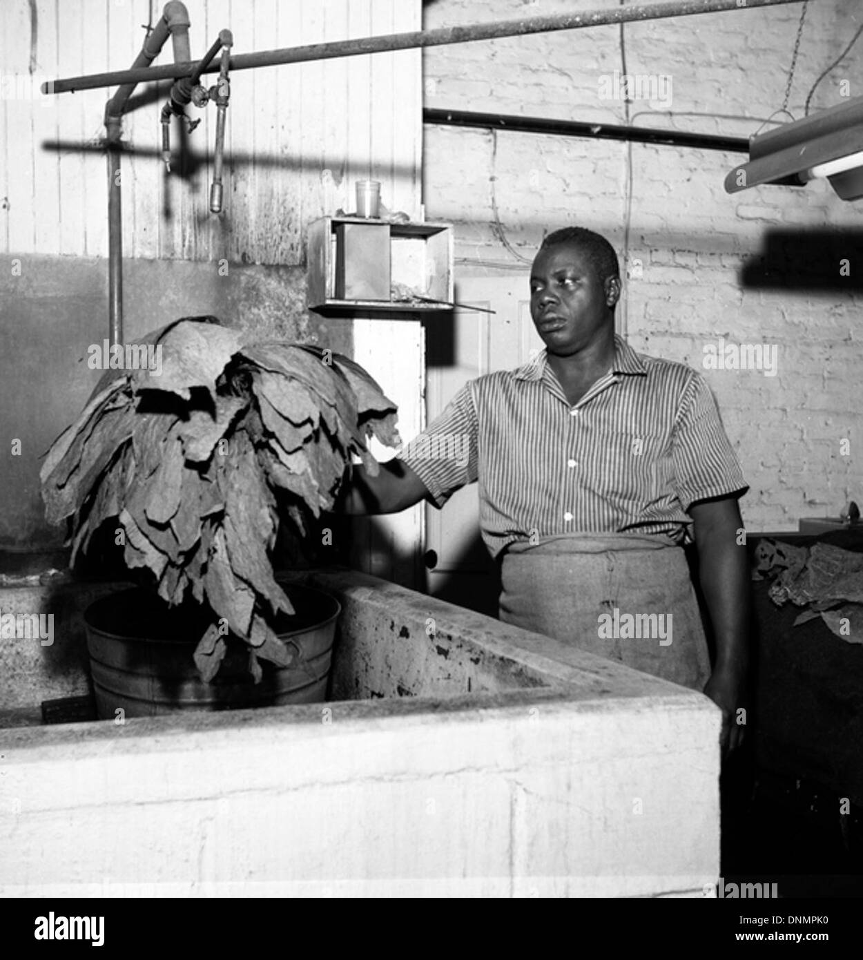 Newspaper leaves Black and White Stock Photos & Images Alamy