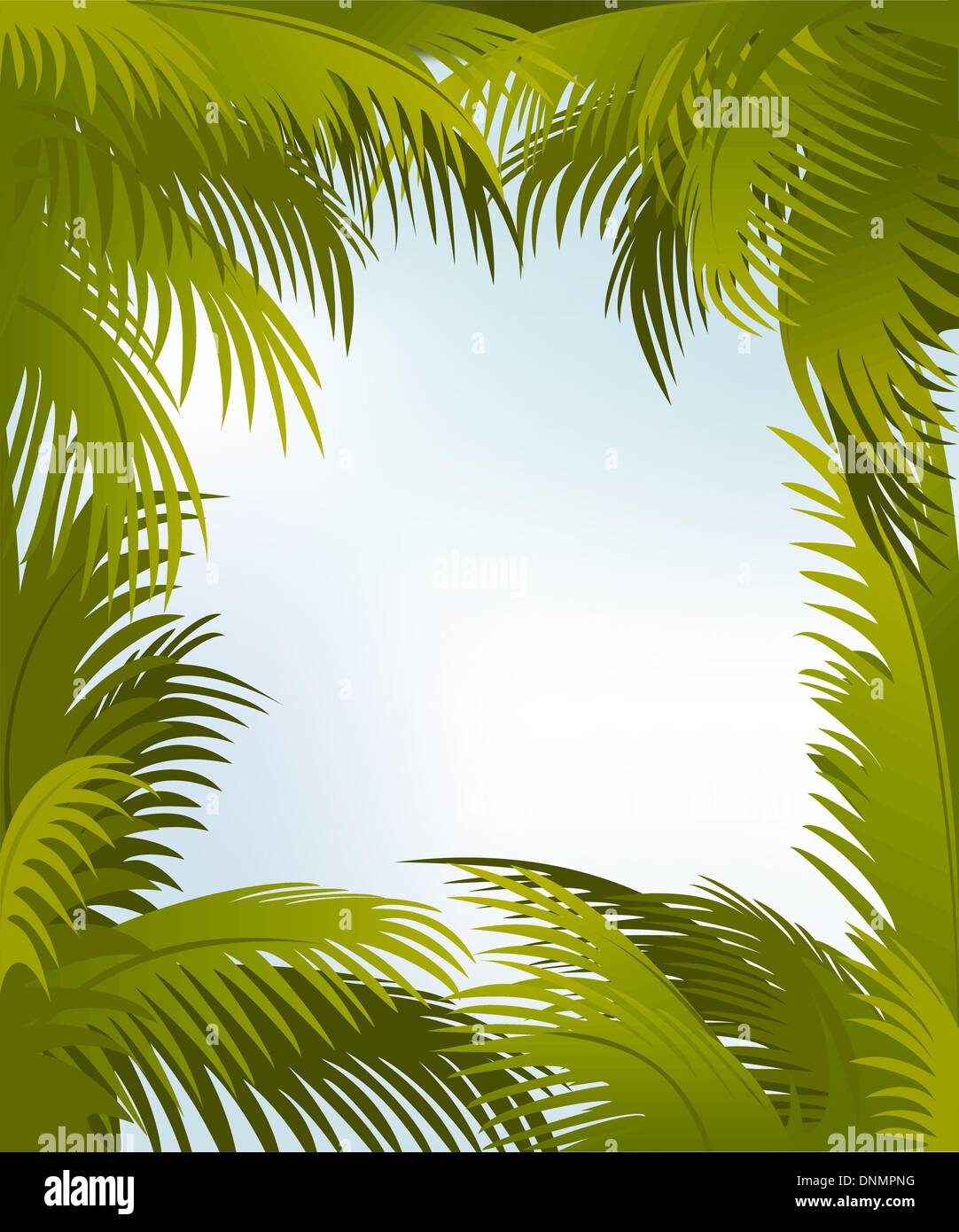 Palm tree frame border Stock Vector Images - Alamy