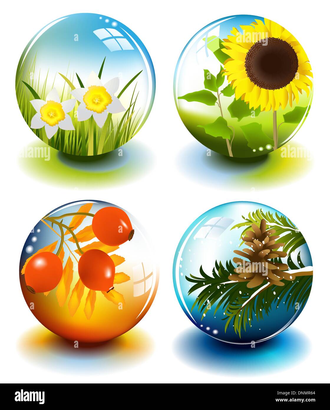 Four seasons Stock Vector