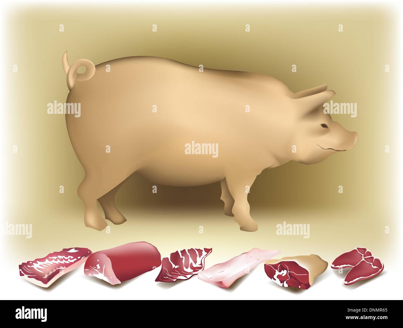 Туша свинины схема разделки. From pig to pork. Iberico фирма. From pig to pork. Свинка винтаж вектор.