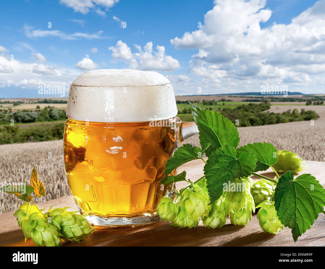 beer with raw material for beer production Stock Photo Alamy