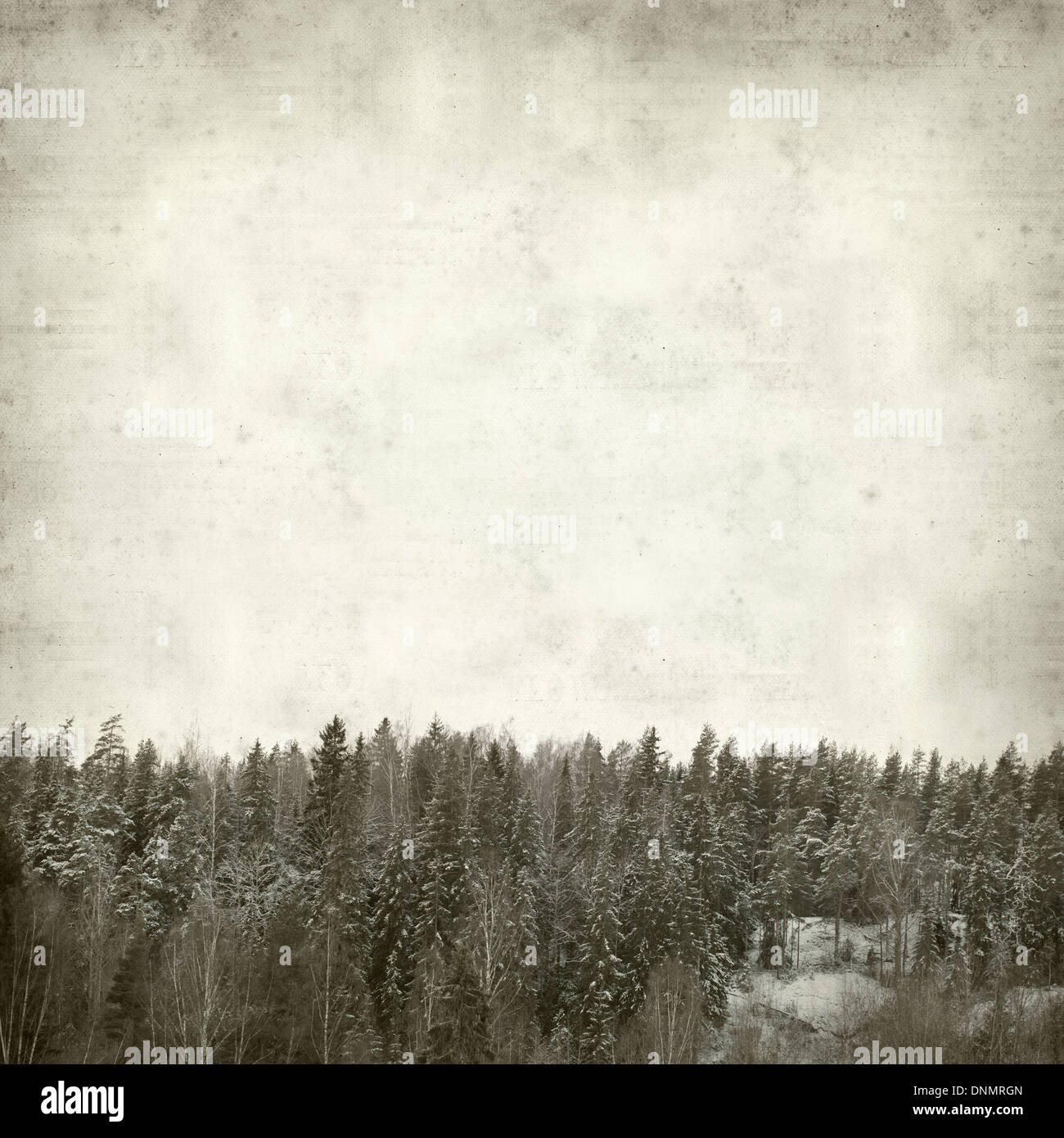 textured old paper background with winter trees Stock Photo - Alamy