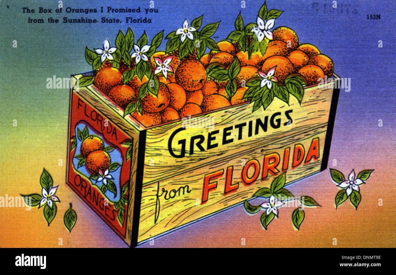 Florida postcard hires stock photography and images Alamy