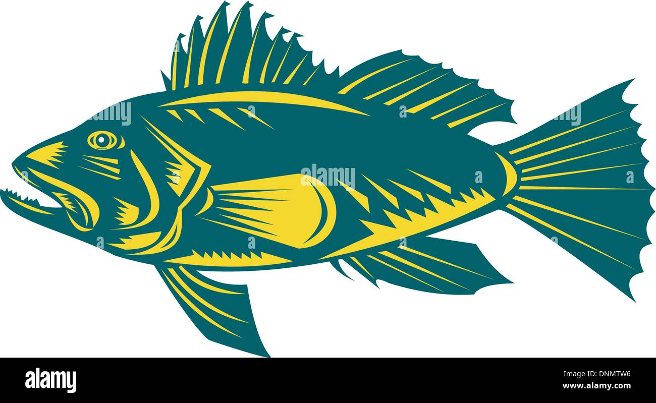 illustration of a black sea bass side view woodcut style Stock Vector