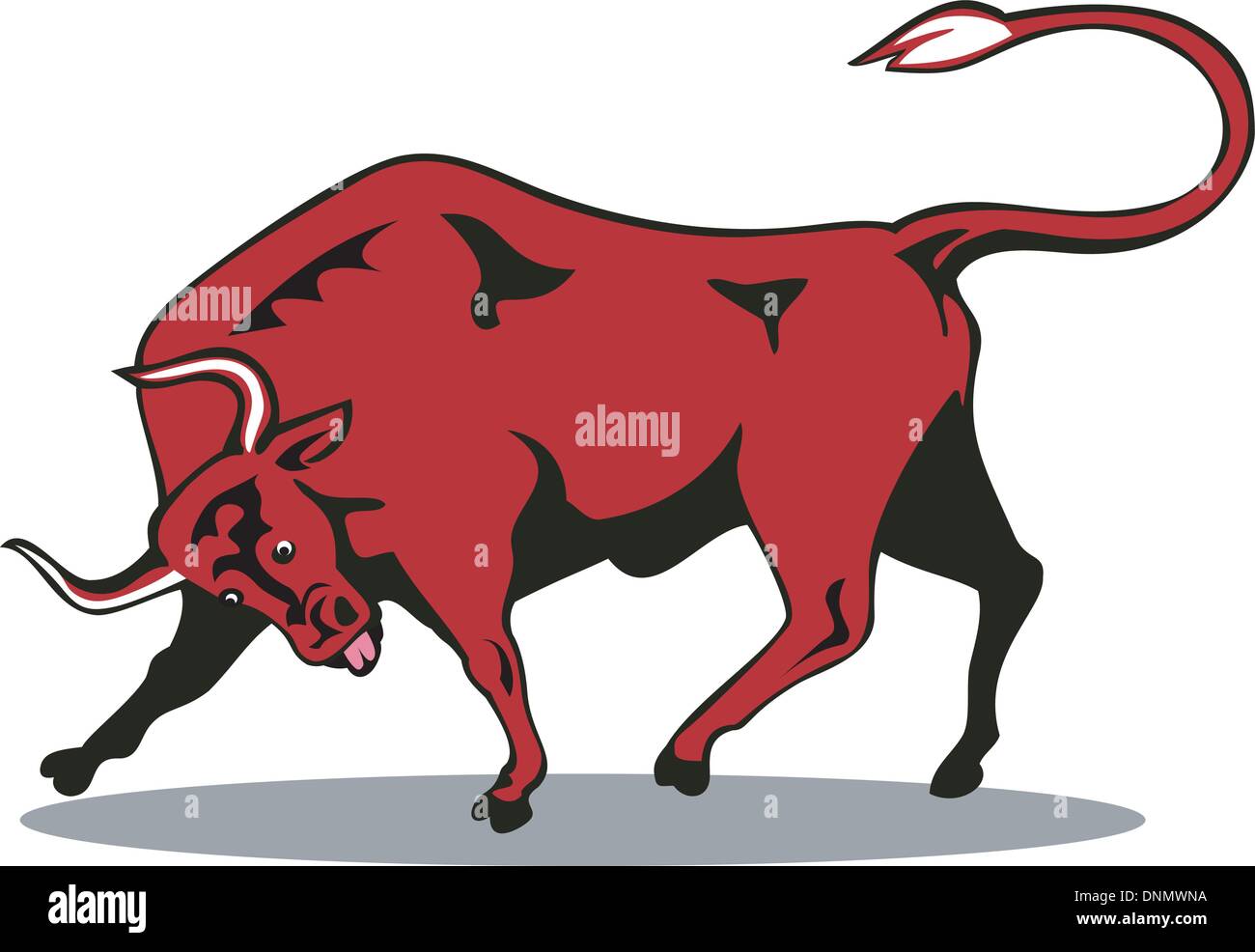 illustration of a raging bull charging attacking on isolated white ...
