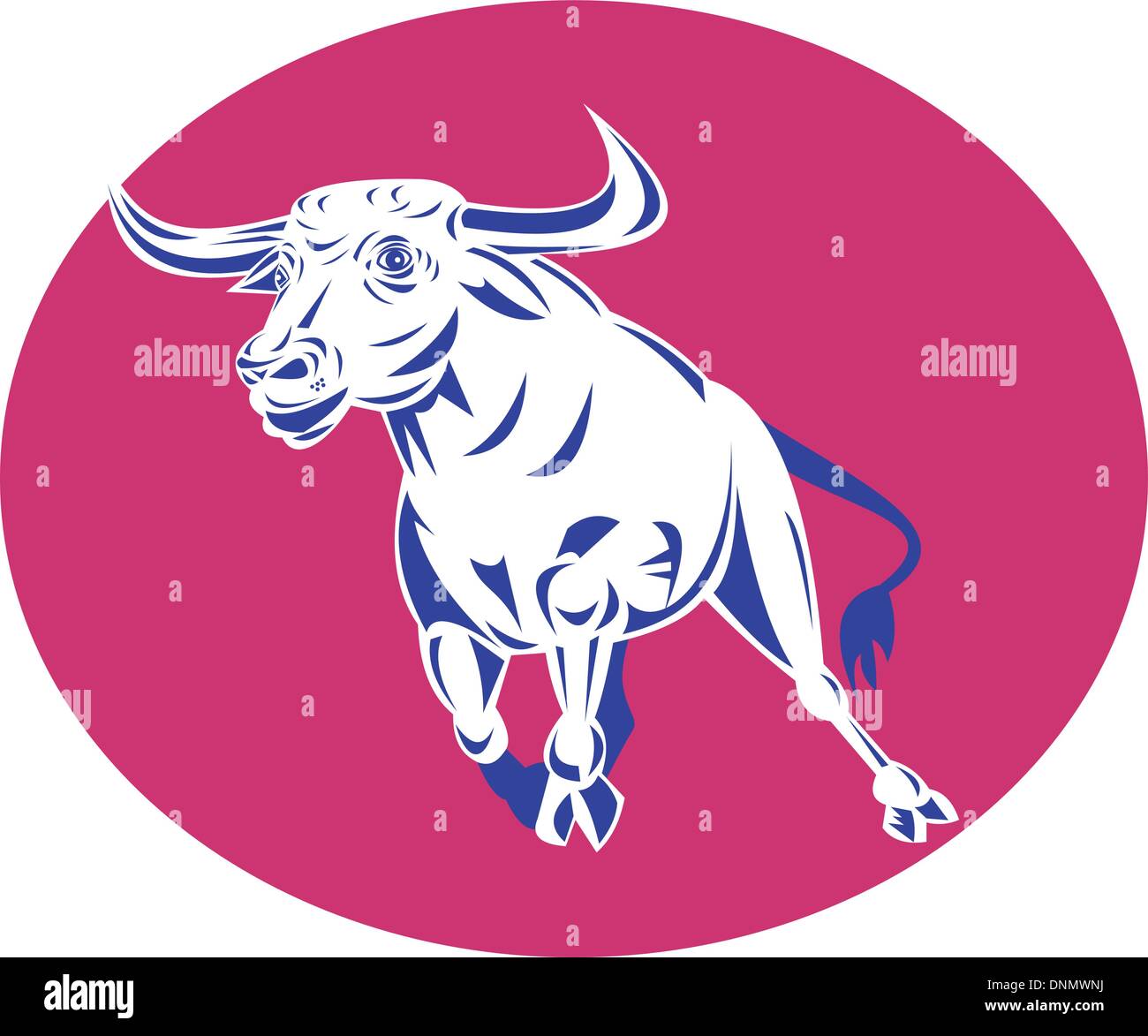 illustration of a raging bull charging attacking on isolated white ...