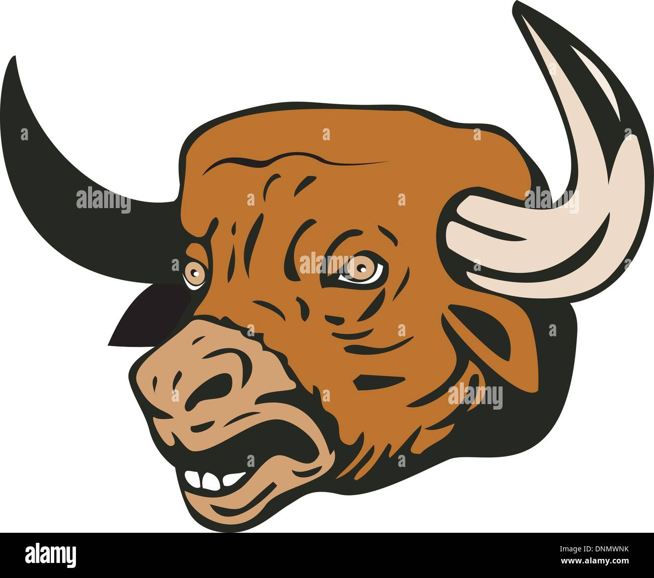 illustration of a raging bull charging attacking on isolated white ...
