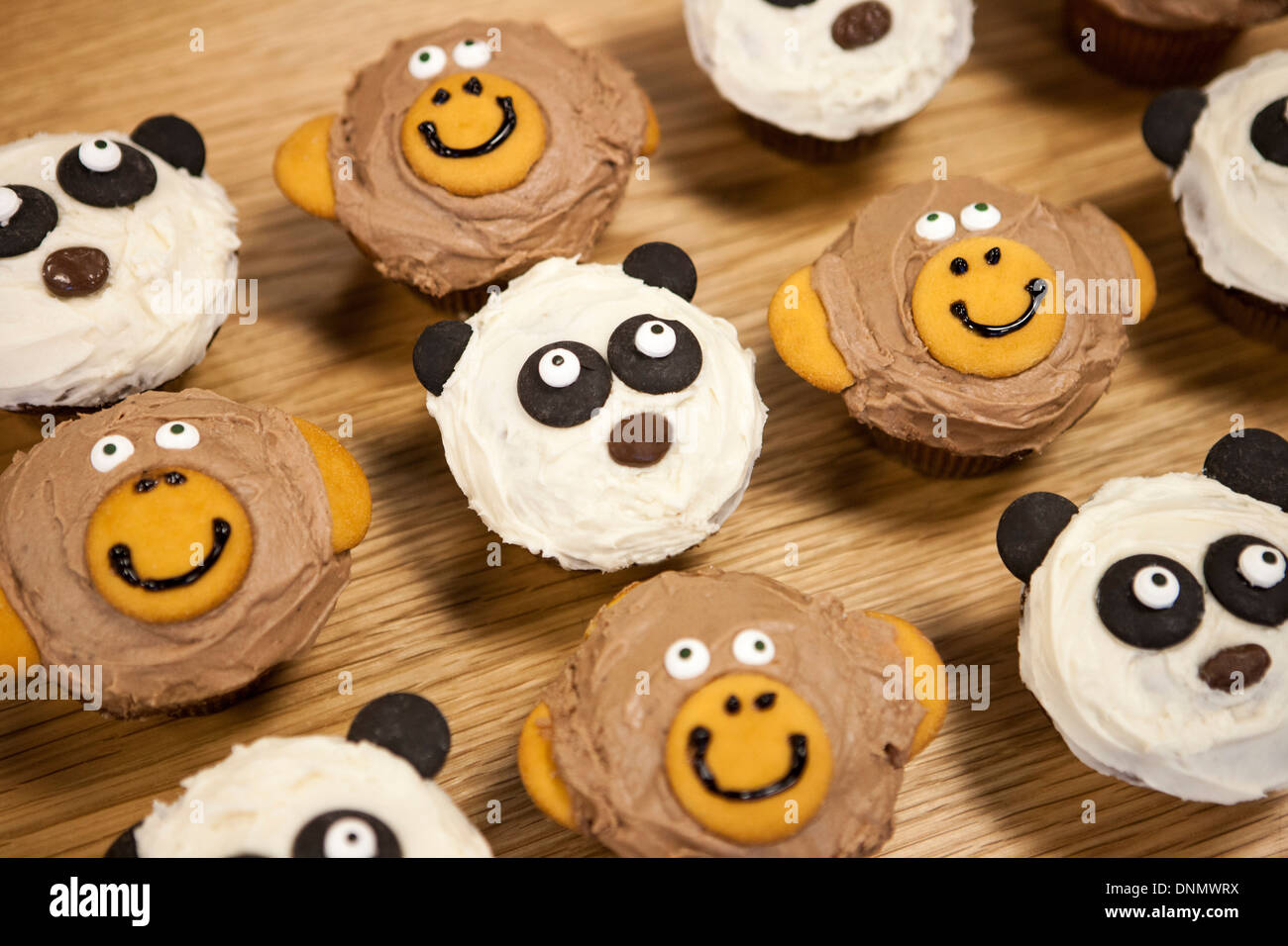 Cupcakes for animals hi-res stock photography and images - Alamy