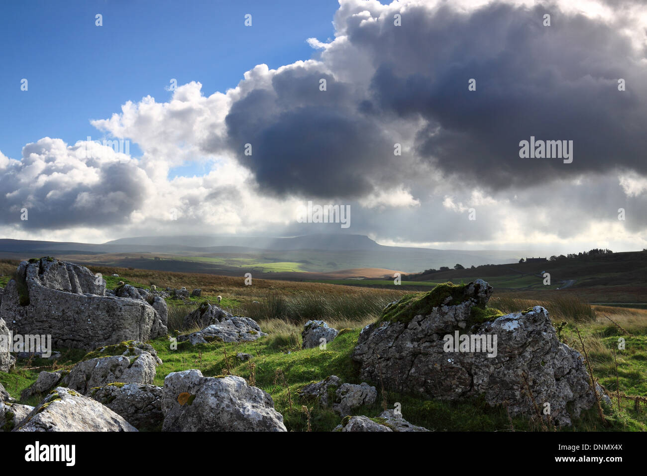 Dappled sunlight over limestone pavement and Pen-y-ghent, in the Yorkshire Dales National Park, England Stock Photo