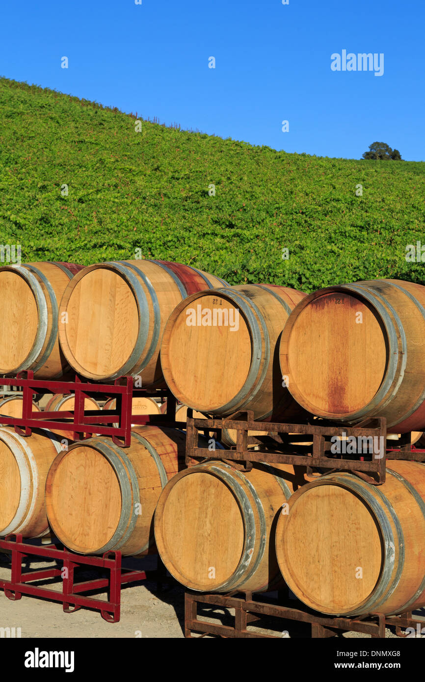 Kunde Winery in Kenwood,Sonoma Valley,California,USA Stock Photo