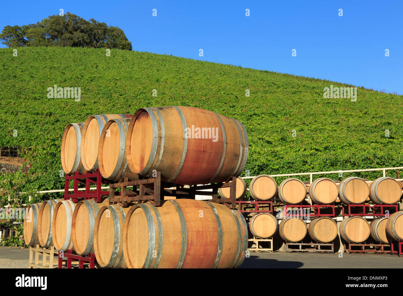 Kunde Winery in Kenwood,Sonoma Valley,California,USA Stock Photo