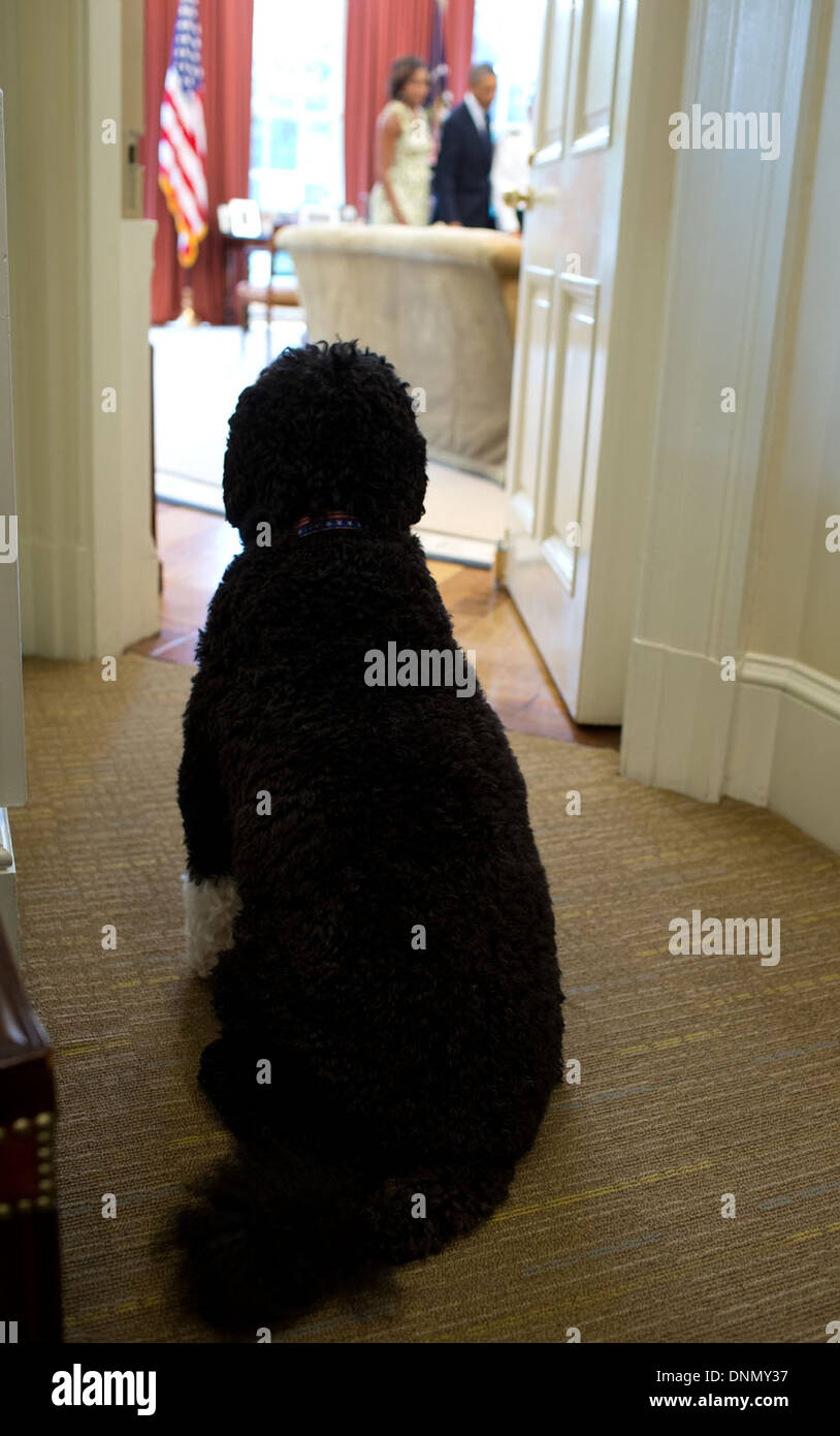 With family dog Bo First Lady Michelle Obama UNSIGNED photo K3122 With family dog Bo First Lady Michelle Obama UNSIGNED photo K3122