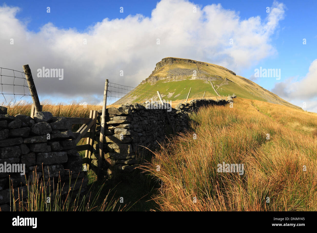 The distinctive summit of Penyghent, one of the Yorkshire Three Peaks
