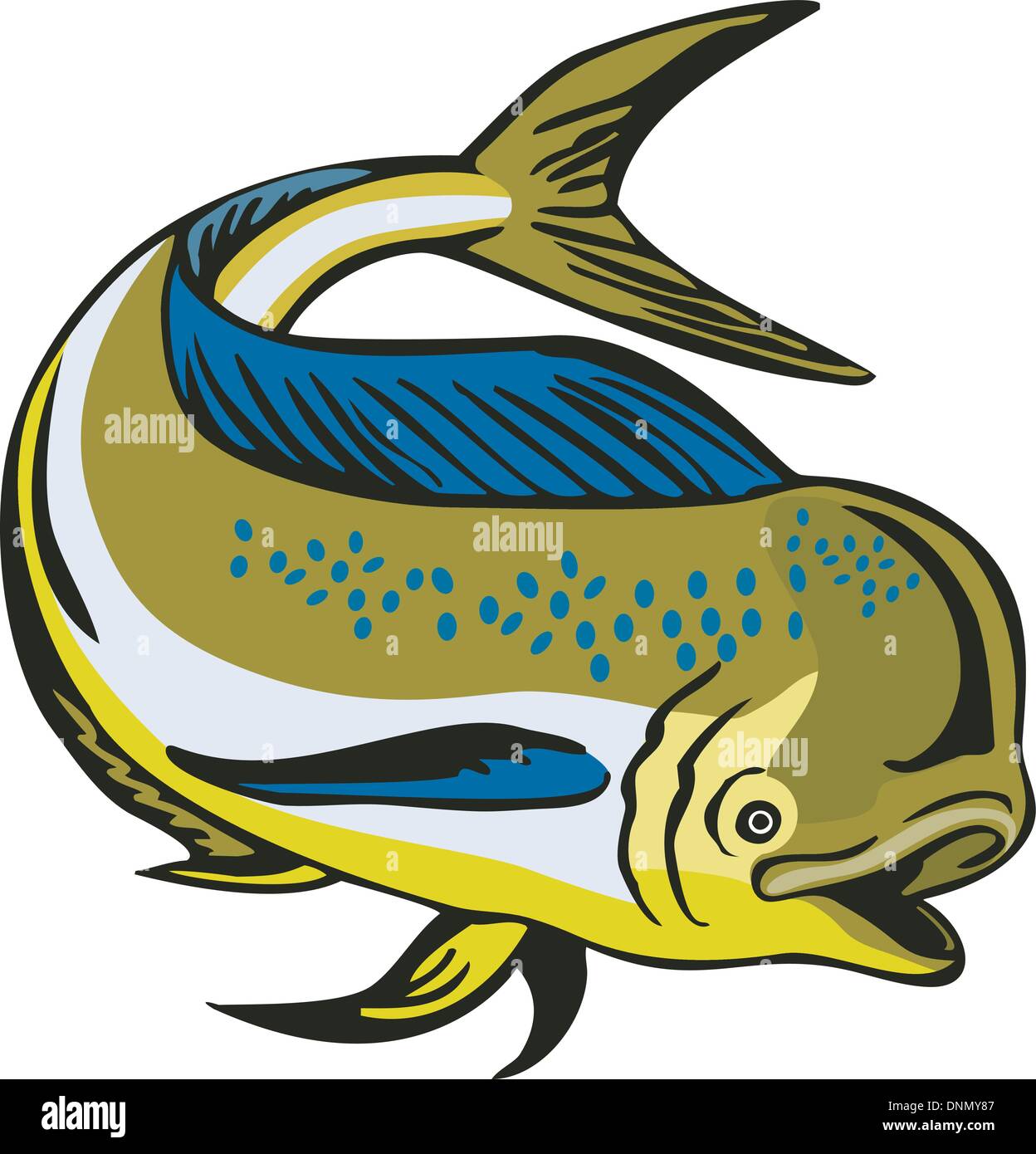 Mahi Vector Illustration of a dorado dolphin fish mahi-mahi jumping on isolated ...