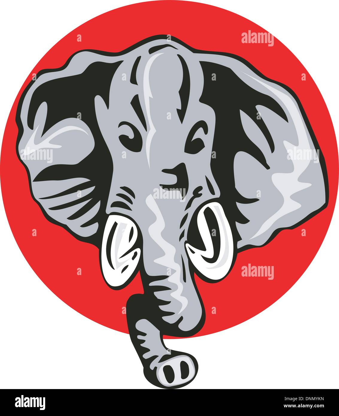 Illustration of an elephant head viewed from front on isolated white ...