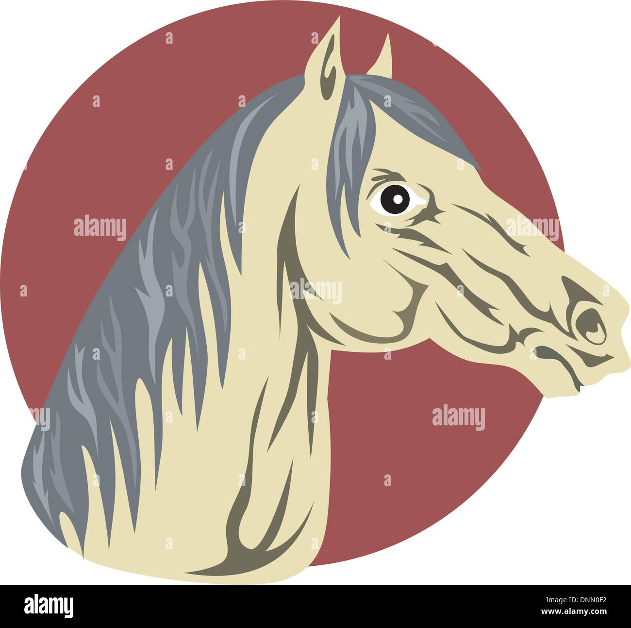 Illustration of horse head facing sideways done in retro style Stock