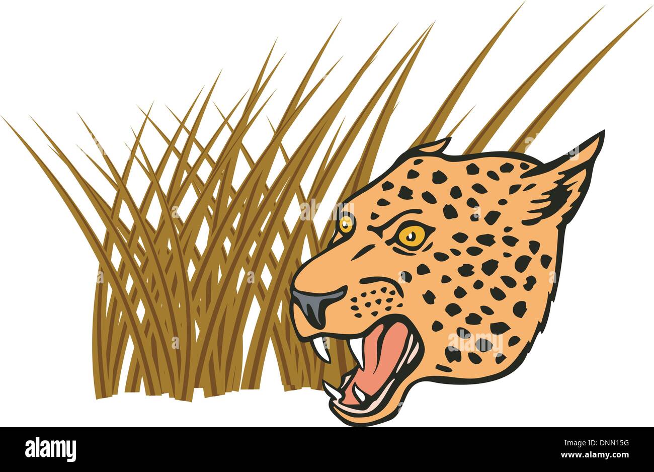 Illustration of a leopard head with long grass in the background done in retro style. Stock Vector