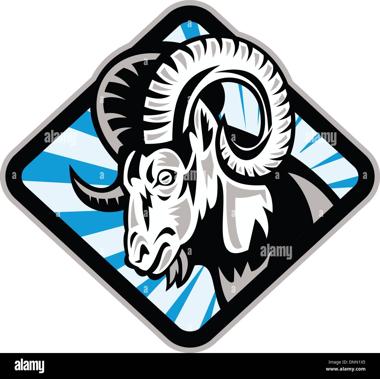 Illustration of a bighorn ram sheep goat set inside diamond shape on  isolated background Stock Vector Image \u0026 Art - Alamy, image size:1300x1298