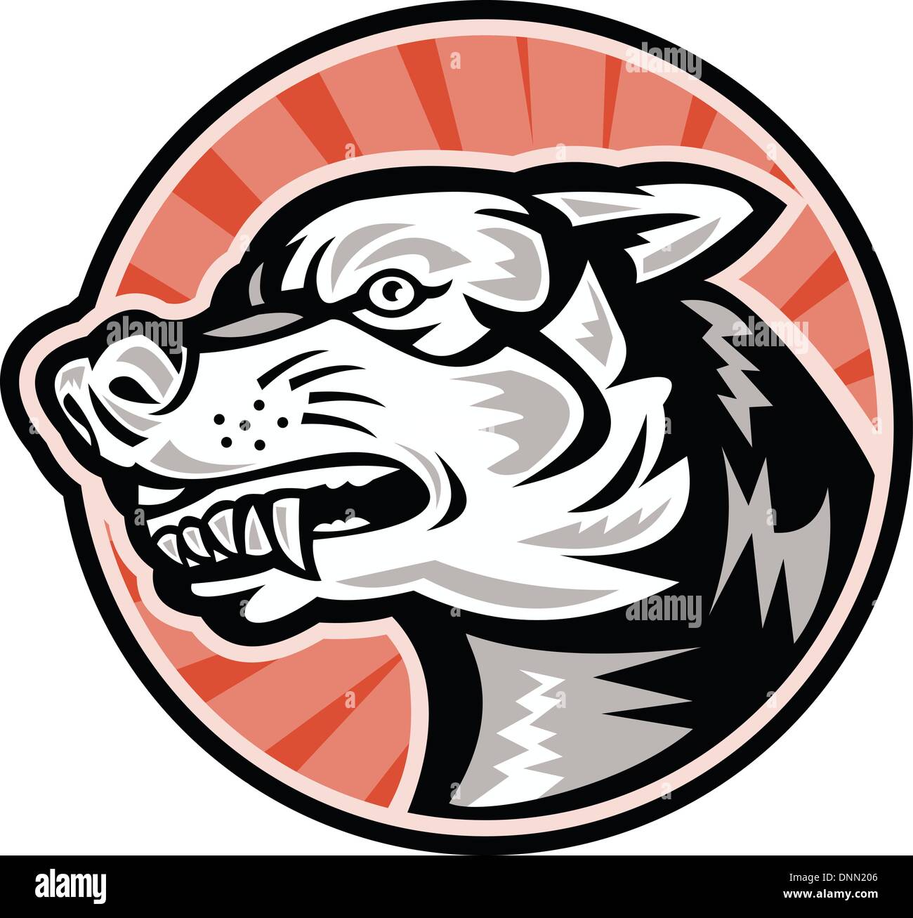 Illustration of an angry mongrel dog baring fangs set inside cricle done in retro woodcut style. Stock Vector