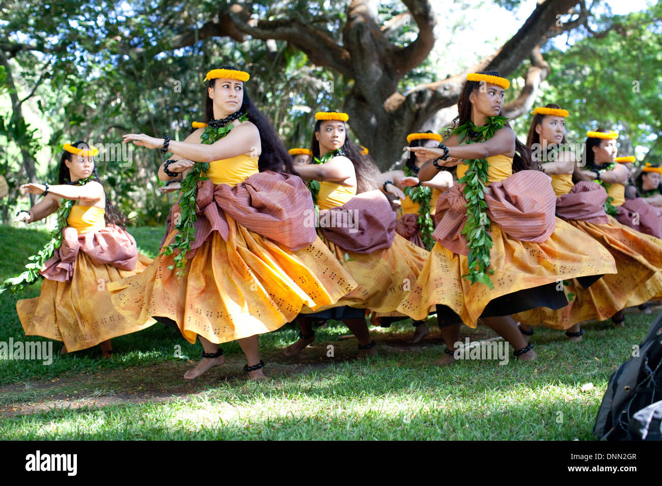 The Halau Na Mamo O Puuanahulu dance troupe performs at the Honolulu Hula Festival, summer of 2013 Honolulu Hawaii. Stock Photo