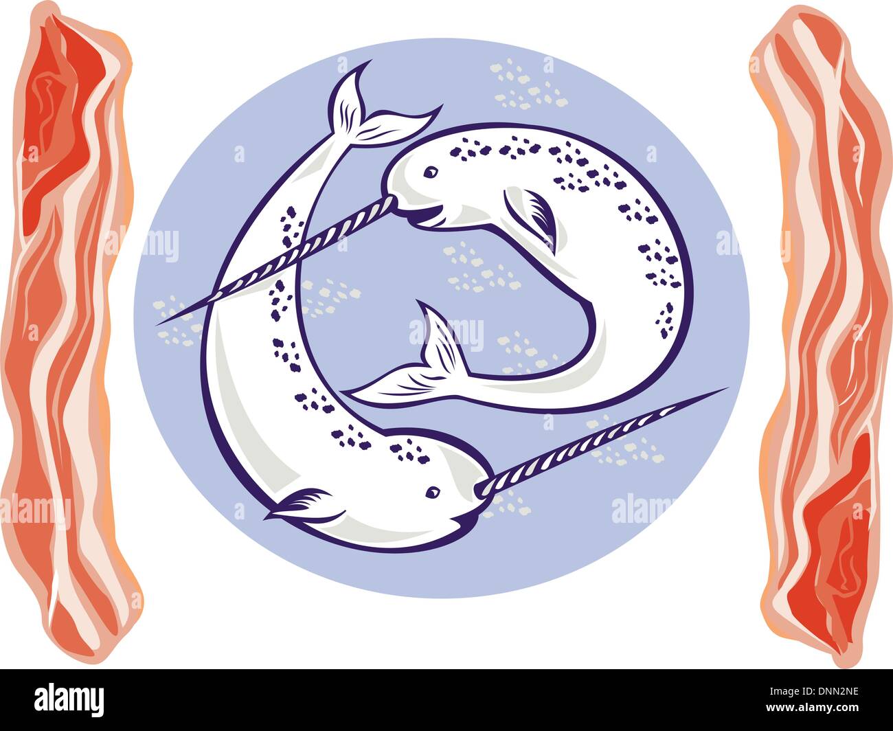 illustration of two narwhal Monodon monoceros unicorn whale with tusk horns set inside oval done with bacon on side Stock Vector
