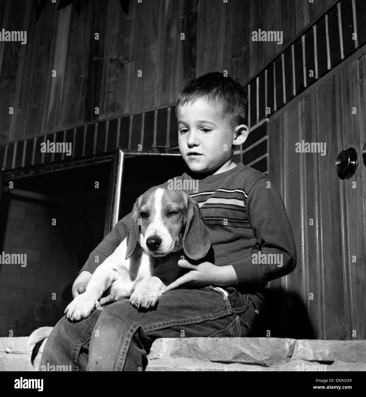 Florida newspaper beagles boys dogs florida lanesmith leoncounty pets ...