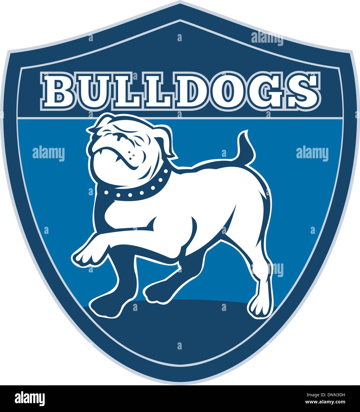 illustration of a Proud English bulldog marching with words bulldogs' in background set inside a shield suitable for any sports team mascot' Stock Vector