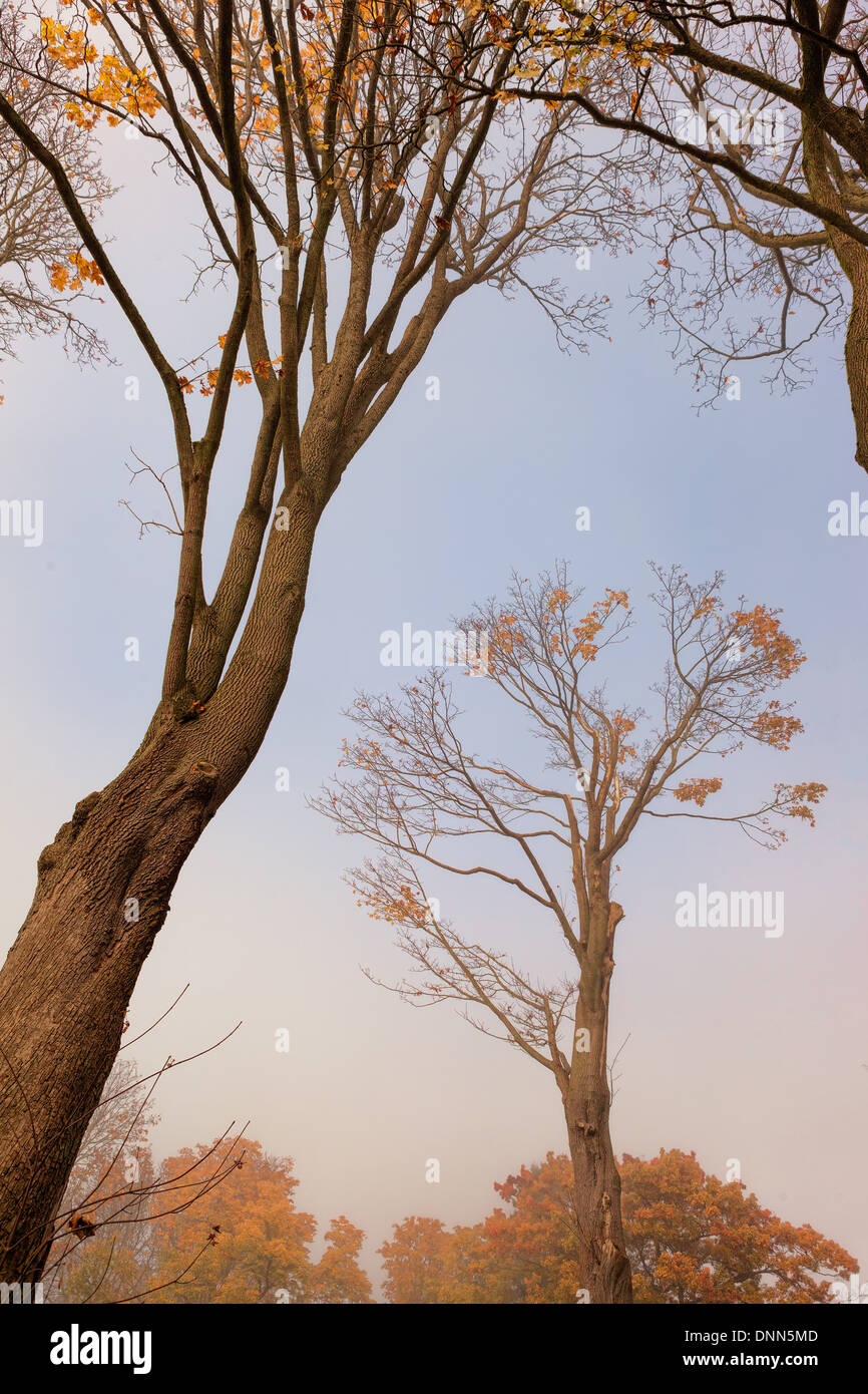 Vancouver Fall Colors Stock Photo - Alamy