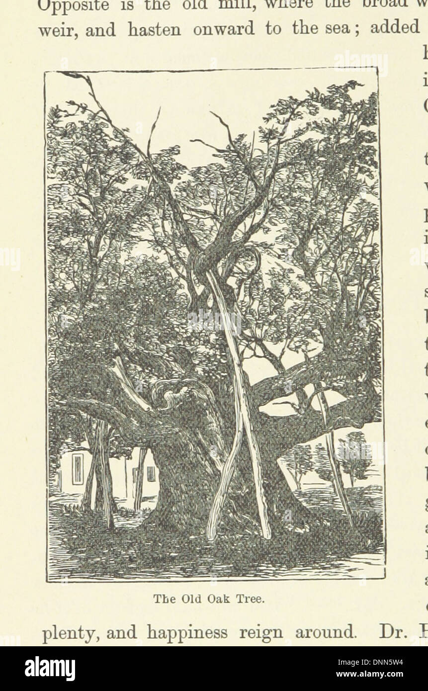 Image taken from page 84 of 'From Edenvale to the Plains of York: or, A thousand miles in the valleys of the Nidd and Yore, etc. [With illustrations, including a portrait.]' Stock Photo