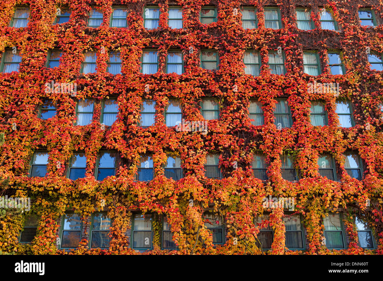 Vancouver Fall Colors Stock Photo - Alamy