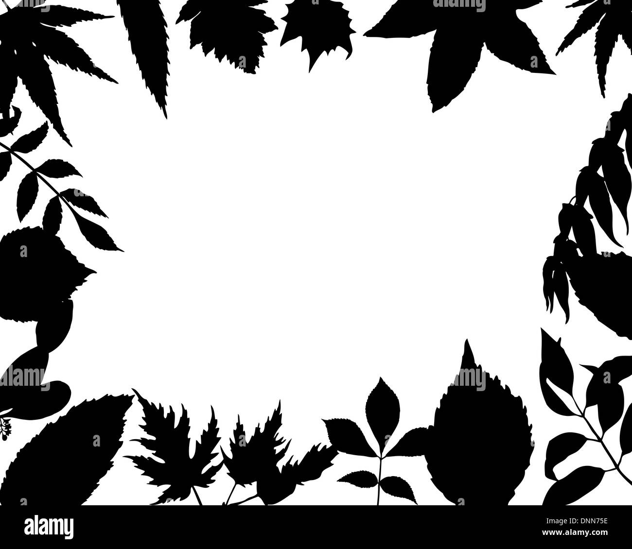 floral silhouette picture frames for design use Stock Vector