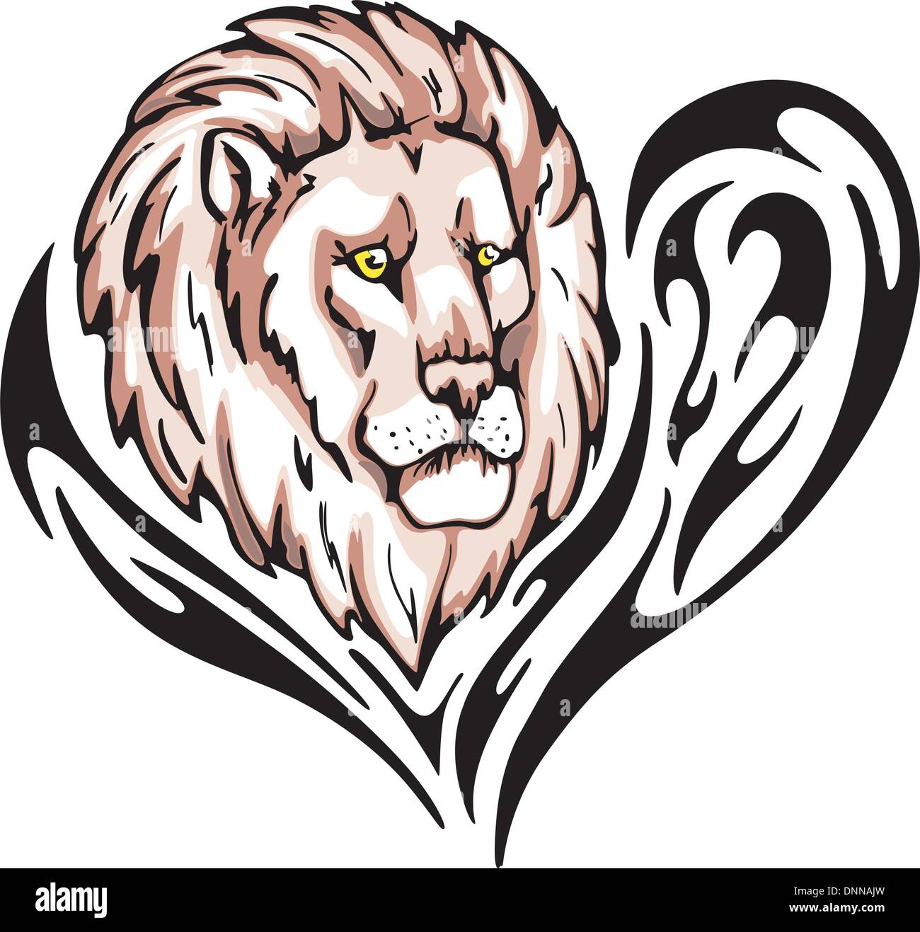 Snake Tattoo Png Transparent Images  Lion Head Drawing Png Transparent PNG   640x480  Free Download on NicePNG