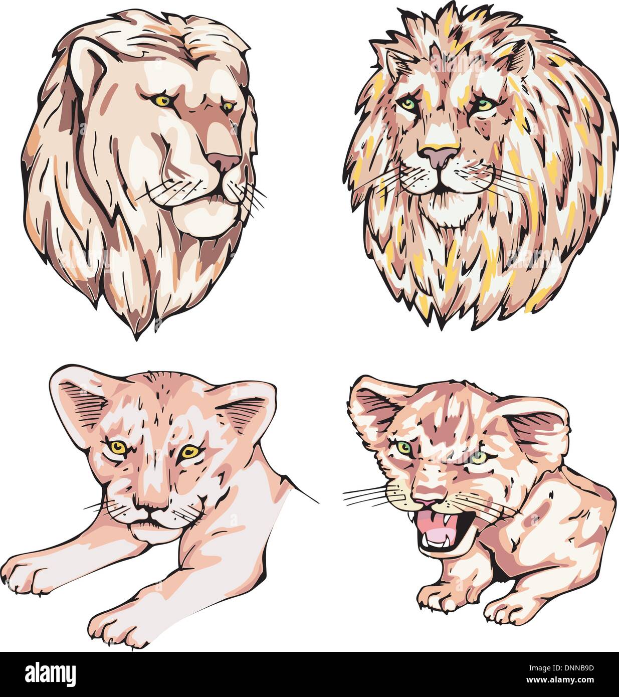 Heads of lions and lion cubs. Set of vector illustrations. Stock Vector