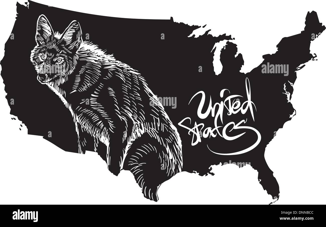 Coyote and U.S. outline map. Black and white vector illustration. Canis latrans. Stock Vector