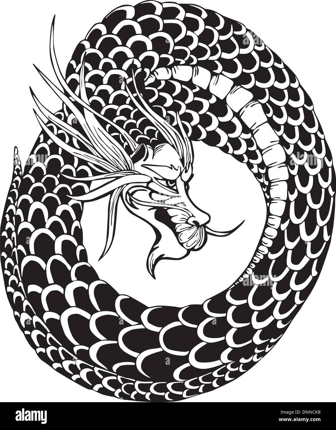 Oriental legless dragon. Black and white vector illustration. Stock Vector