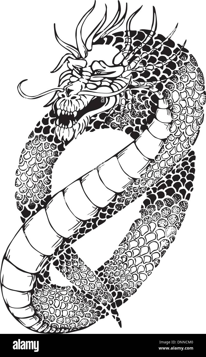 Oriental legless dragon. Black and white vector illustration. Stock Vector