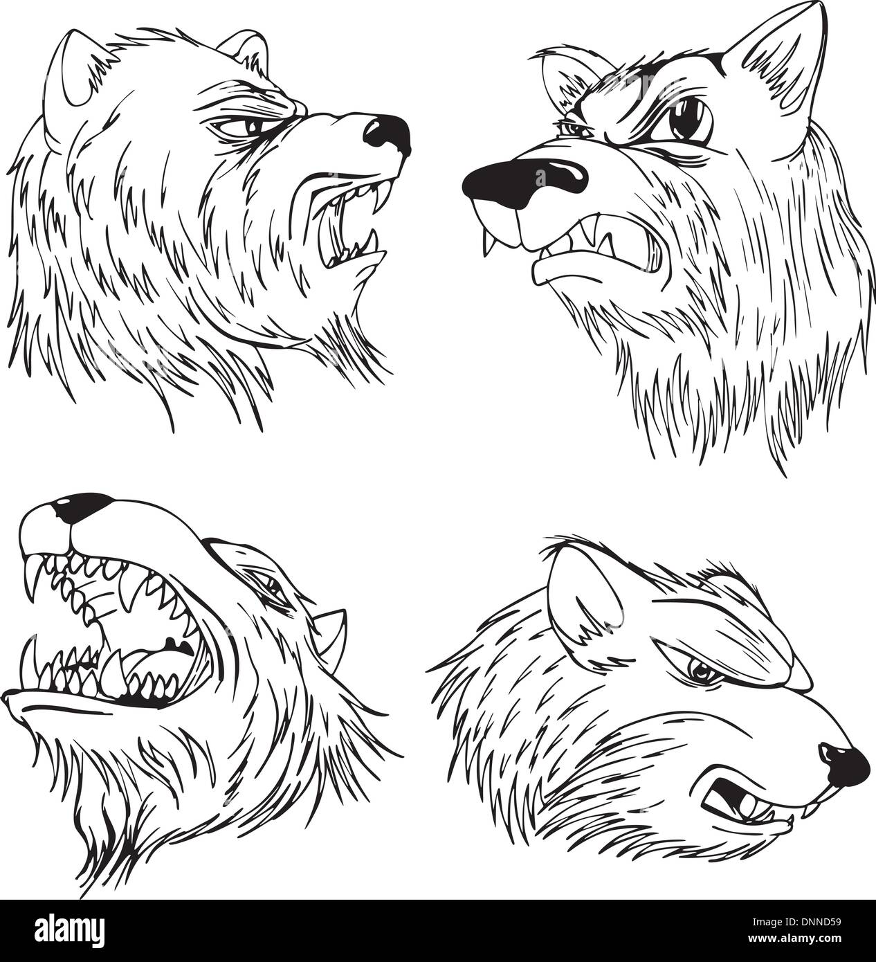 Aggressive bear heads. Set of black and white vector tattoo designs. Stock Vector