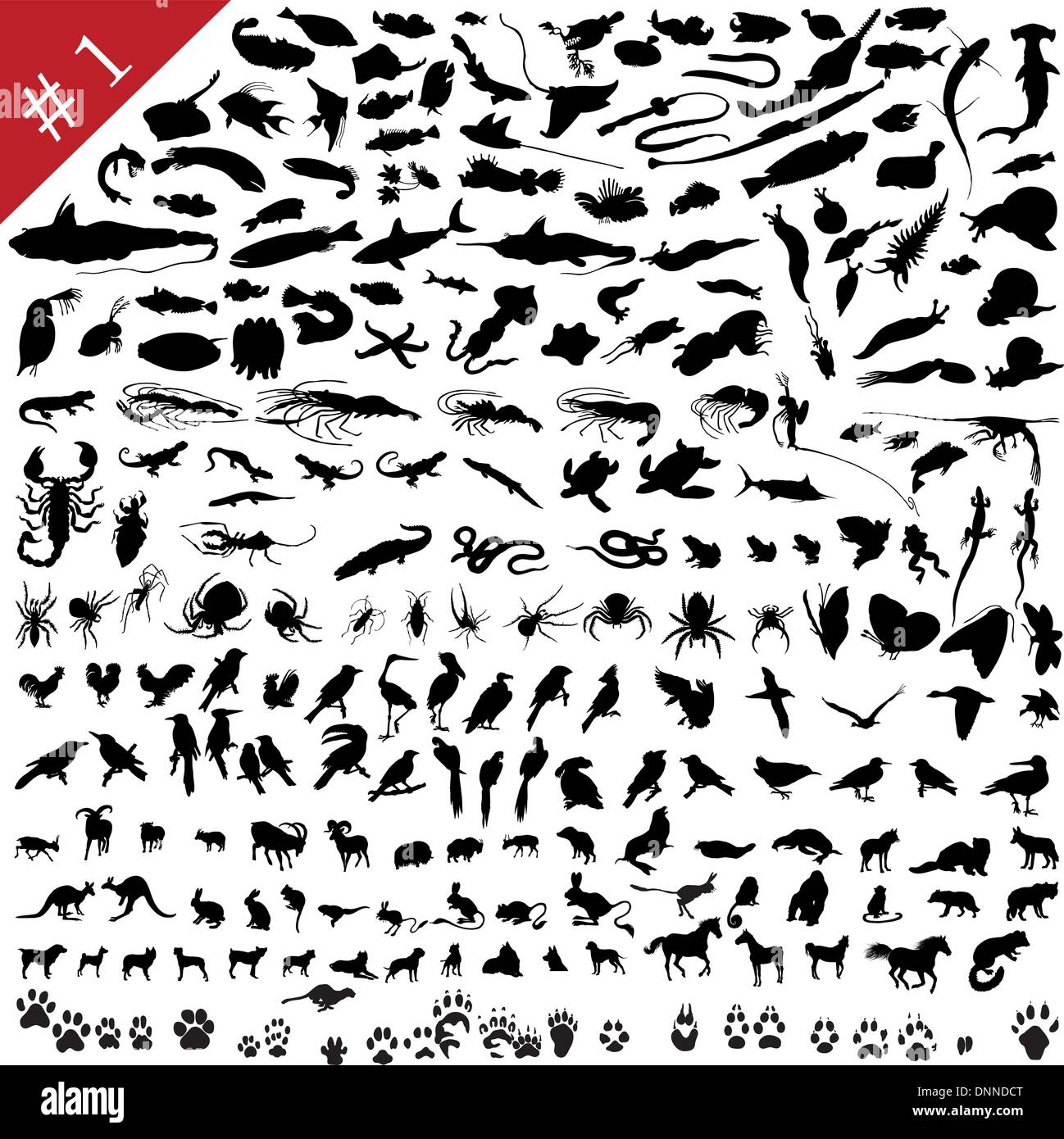 # 1 set of  different animals, birds, insects and fishes  vector silhouettes Stock Vector