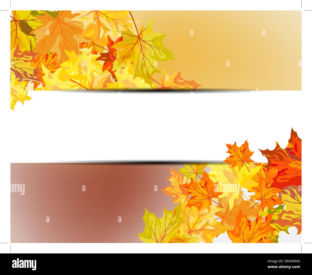 Autumn maple leaves background. Vector illustration with transparency ...