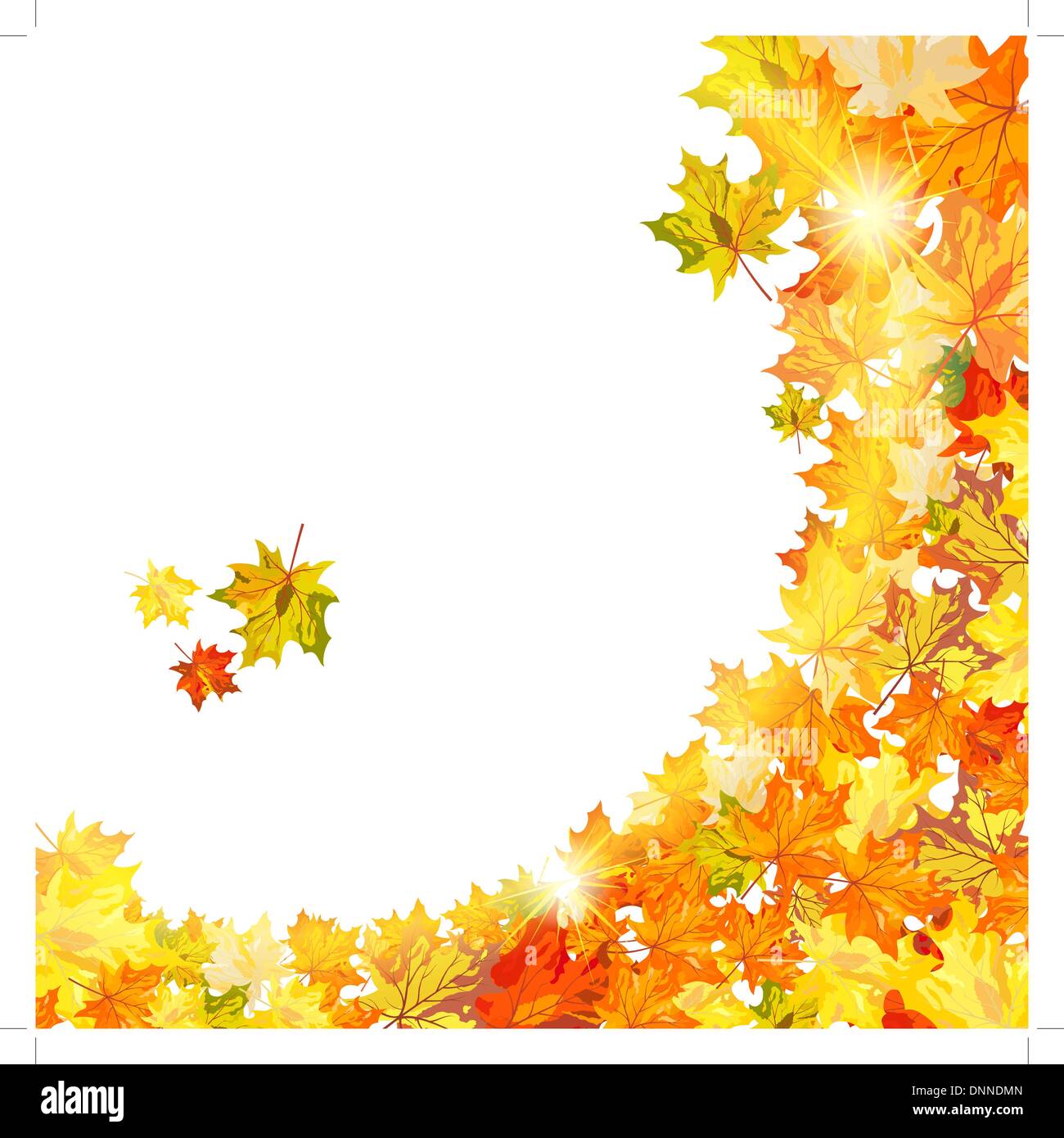 Autumn maple leaves background. Vector illustration with transparency ...